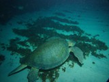 Pousada em Fernando de Noronha